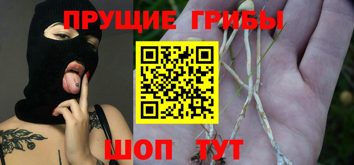 Галлюциногенные грибы Magic Shrooms  Вход с VPN  Симферополь 